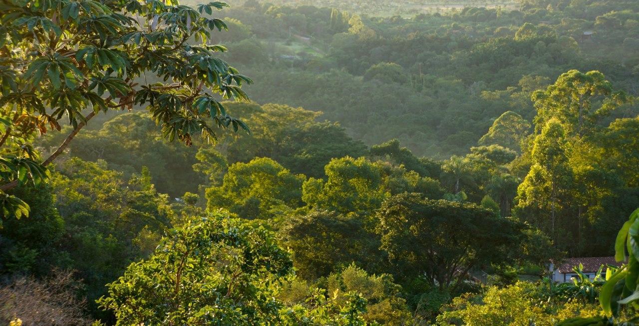 Cerrado Lodge Μπραζίλια Εξωτερικό φωτογραφία